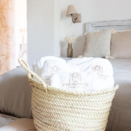 Tenuta Pinto Mola di Bari Luaran gambar